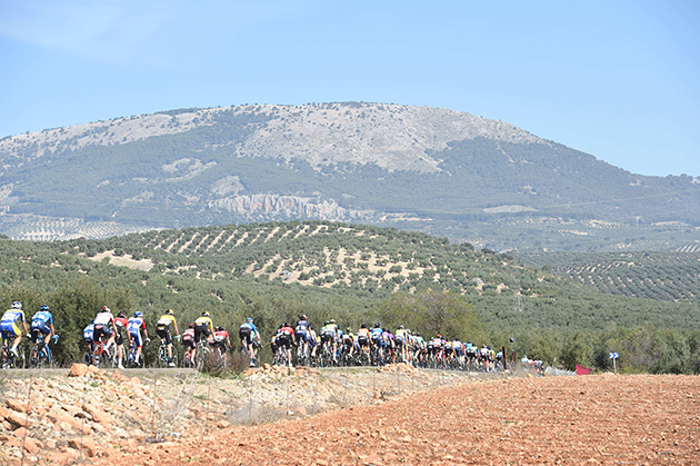 Ruta del Sol picture